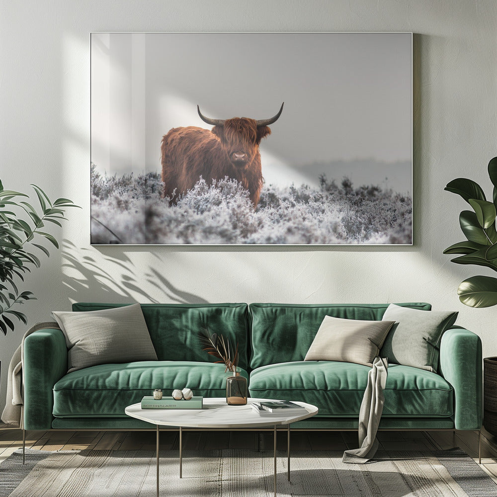 Highlander Wall Artwork 0