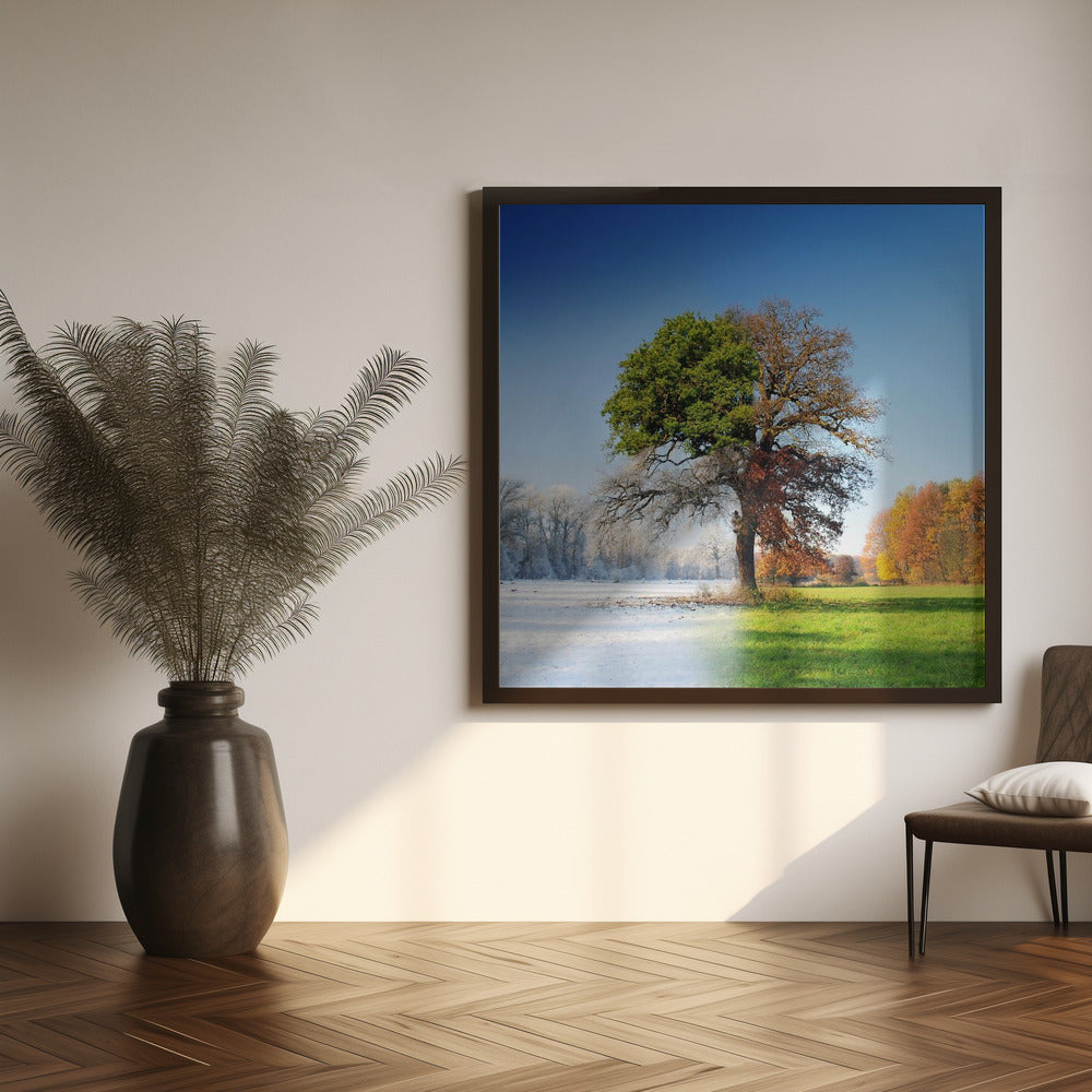 4 seasons Wall Artwork 0