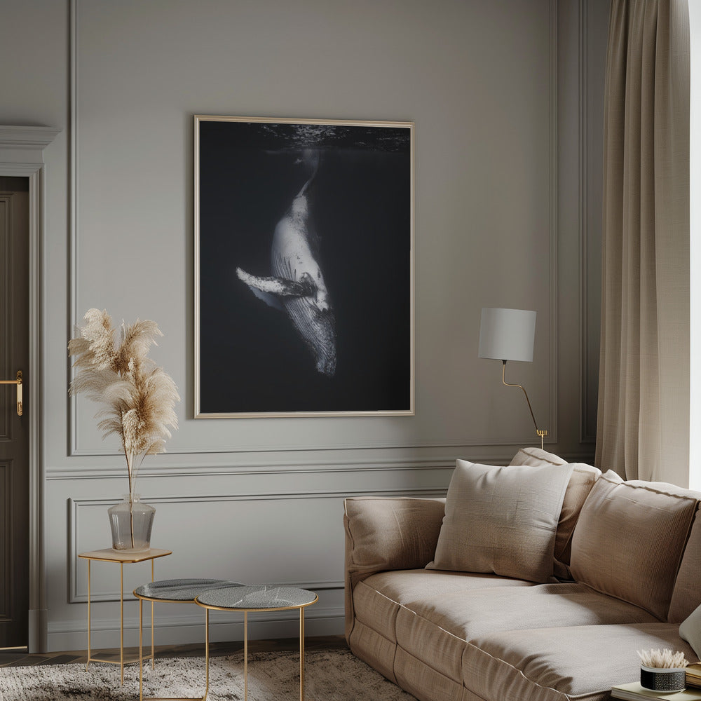 Black Whale Wall Artwork 0
