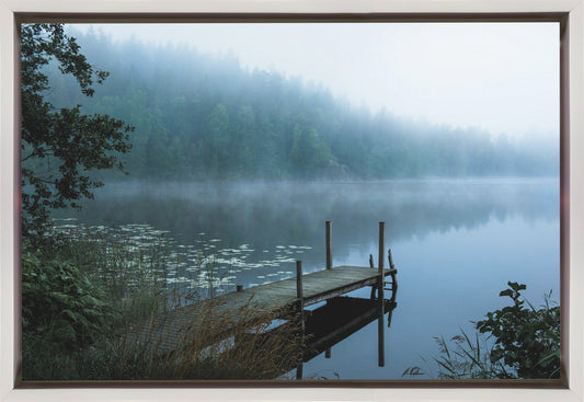 Moody morning Wall Artwork In Black Floating Frame