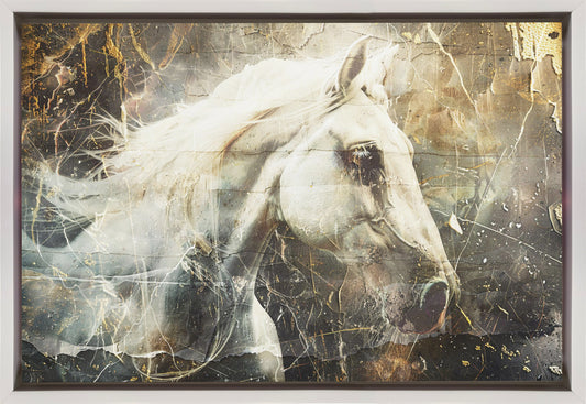 Horse Animal Vintage Art Illustration Wallart 08 Wall Artwork In Black Floating Frame