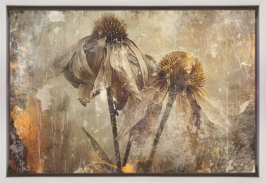 Flower Floral Art Illustration Wallart 082 Wall Artwork In Black Floating Frame