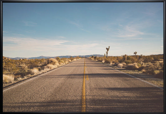 Joshua Tree Road Wall Artwork In Black Floating Frame