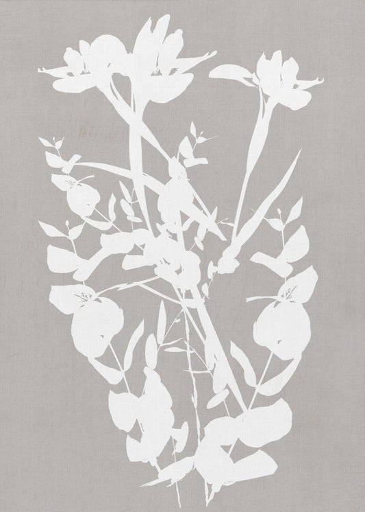 Artwork- Botanical Illustration 2-16X20inches-In Black Floating Frame