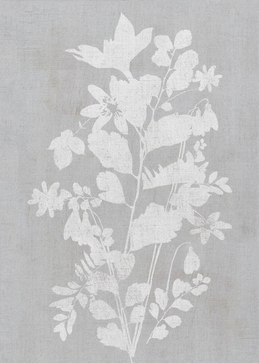 Artwork- Botanical Illustration 3-16X20inches-In Black Floating Frame