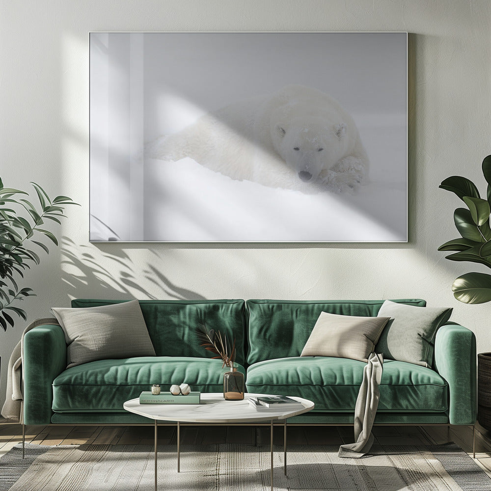Wall art White-20X16inches-In White Floating Frame