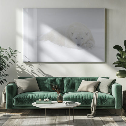 Wall art White-20X16inches-In White Floating Frame