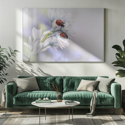 Artwork Ladybirds20X16inches- White Frame