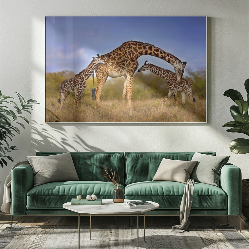 Artwork Giraffe with cubs20X16inches- White Frame