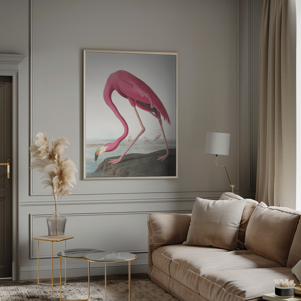  Pink Flamingo Ii From Birds of America (1827) Wall Artwork 0