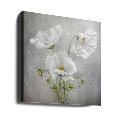  Cosmos Charm Irises Wall Artwork 0