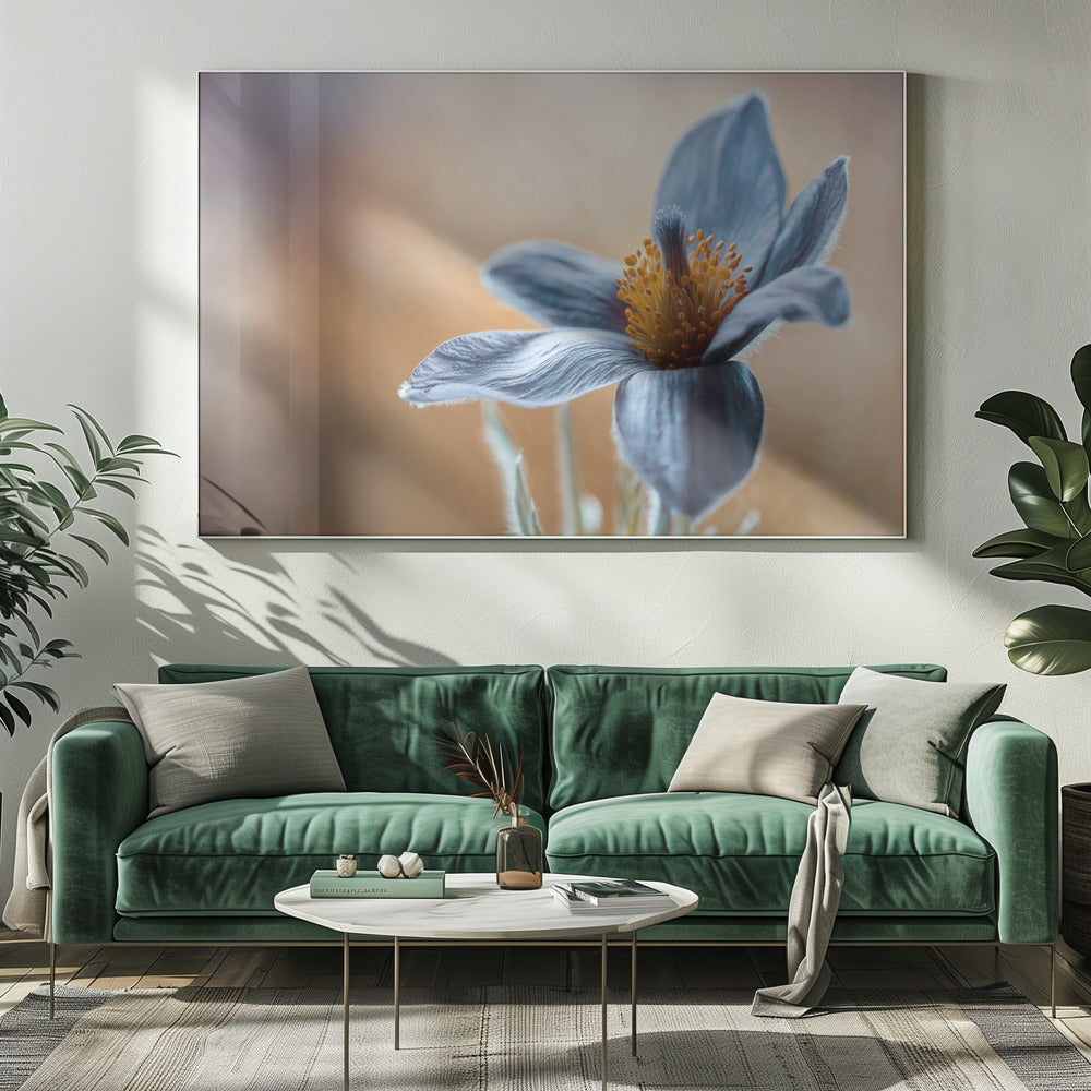 Artwork Pasque. Floral20X16inches- White Frame
