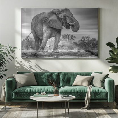 Artwork Standing Proud. Elephant20X16inches- White Frame