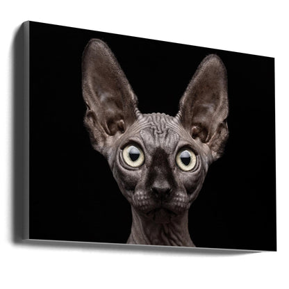 Artwork Sphynx Cat36X24inches- Unframed