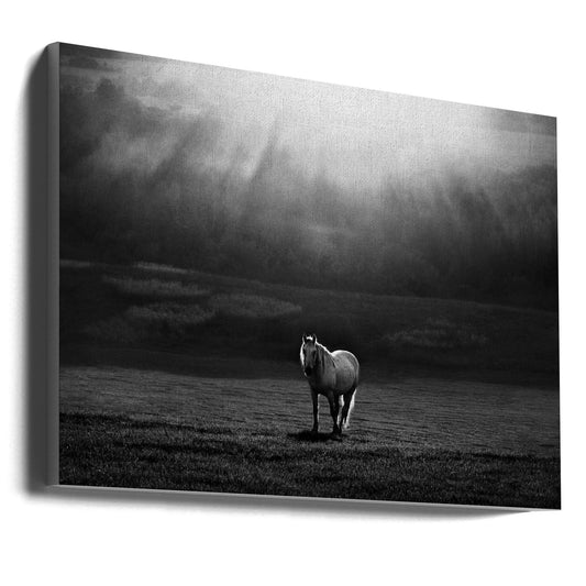 Artwork morning appearance. Hourses36X24inches- Unframed