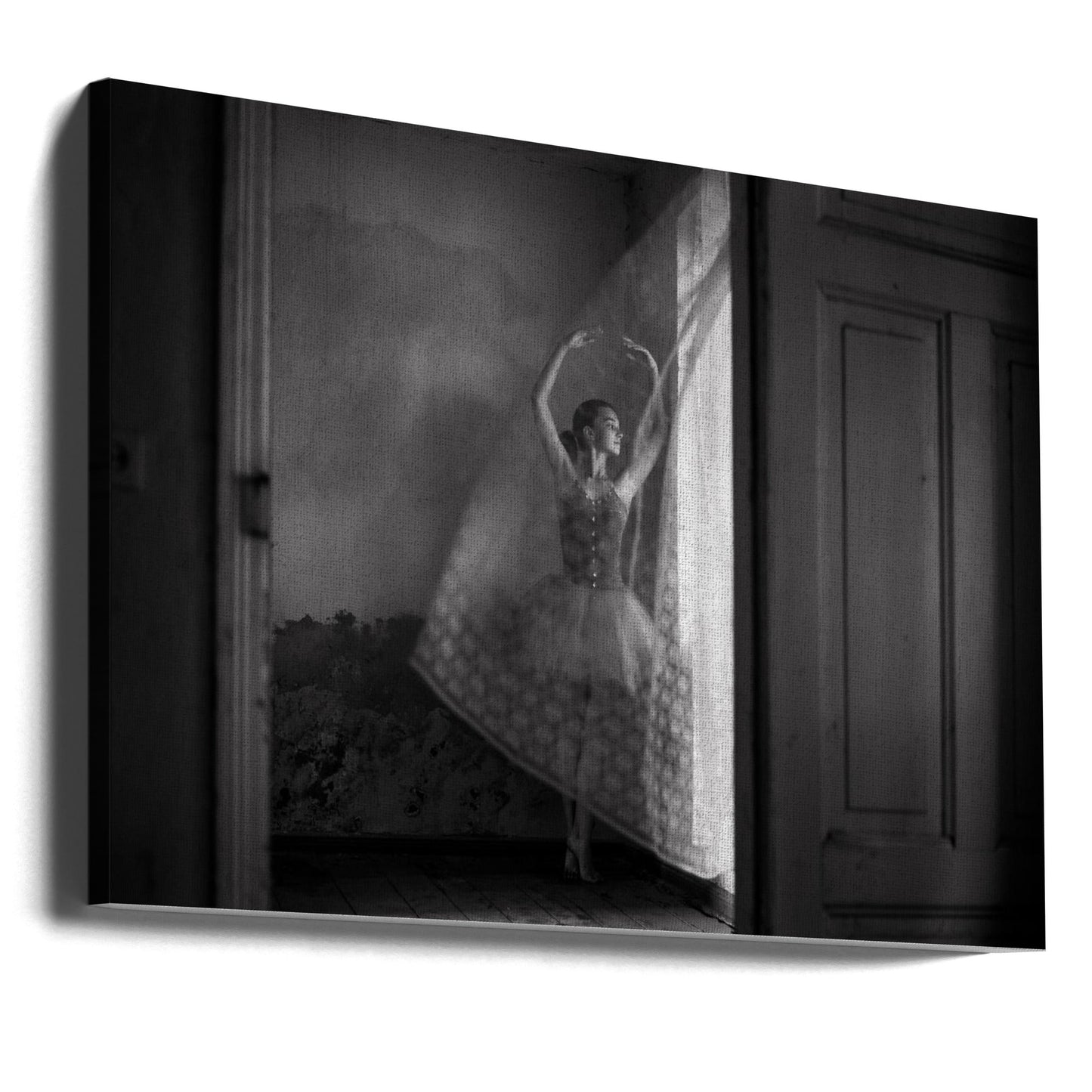 Artwork- Untitled-20X16inches-Gallery Wrapped (Ready to Hang)