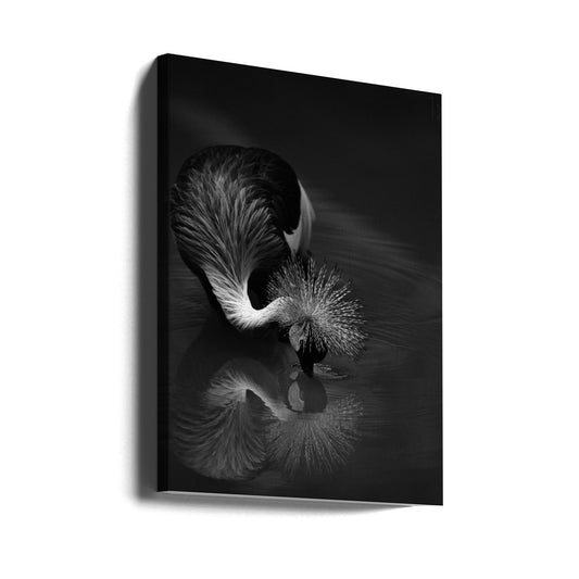 Artwork- The reflection-16X20inches-Gallery Wrapped (Ready to Hang)