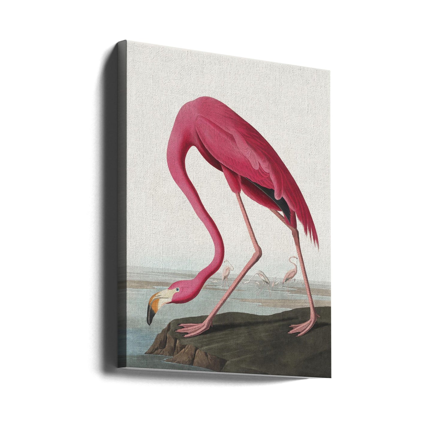  Pink Flamingo Ii From Birds of America (1827) Wall Artwork Gallery Wrapped (Ready to Hang)