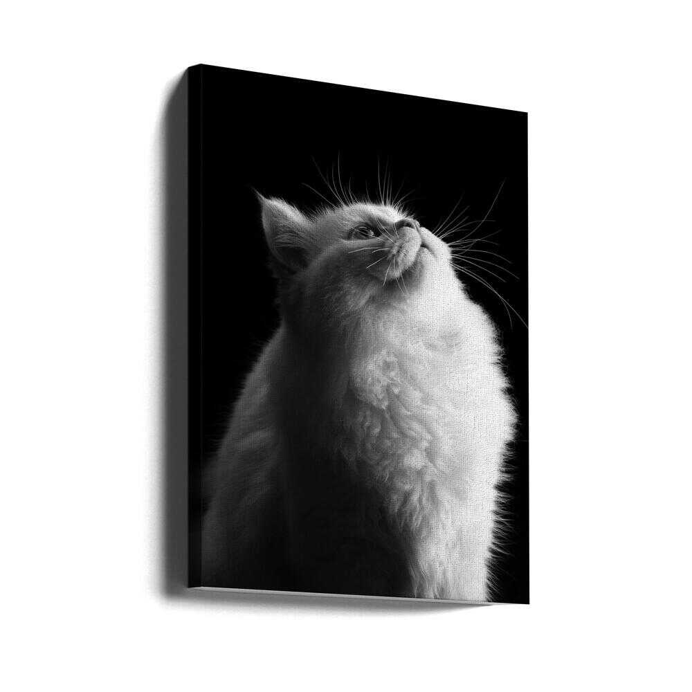 Wall art White in Black