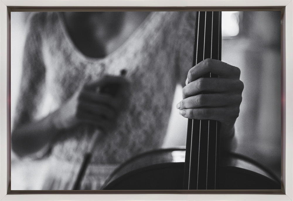 Artwork- break for the cello-36X24inches-Gallery Wrapped (Ready to Hang)