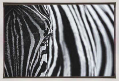 Artwork- The look of nature-36X24inches-Gallery Wrapped (Ready to Hang)