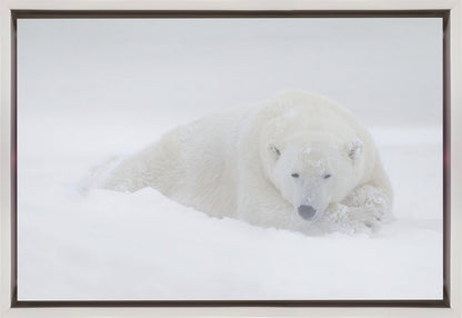 Wall art White-36X24inches-In Black Floating Frame