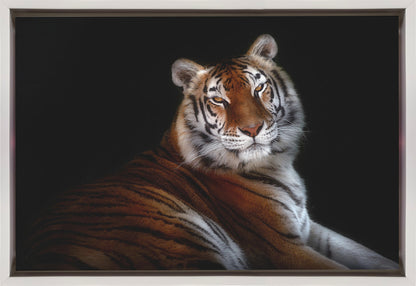 Wall art Serenity