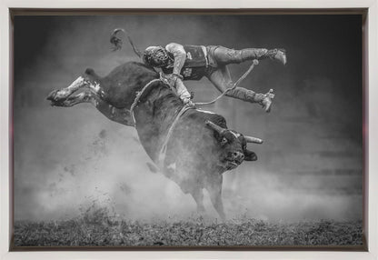  Keeping Balance Wall Artwork Gallery Wrapped (Ready to Hang)