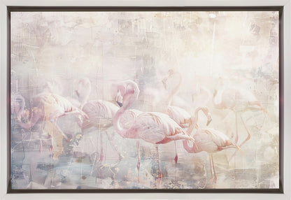  Flamingo Animal Vintage Art Illustration Wallart 10 Wall Artwork In Black Floating Frame