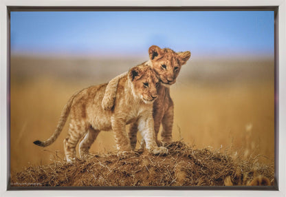  Brothers for Life Wall Artwork In Black Floating Frame