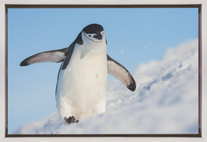 Wall art Running up that hill-36X24inches-In Black Floating Frame