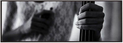 Artwork- break for the cello-36X24inches-In Black Floating Frame