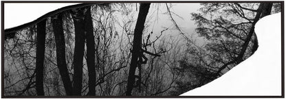 Artwork- Riverside-36X24inches-In Black Floating Frame