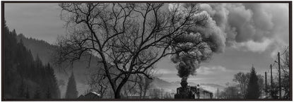 Artwork- Mocanita Hutulca-36X24inches-In Black Floating Frame