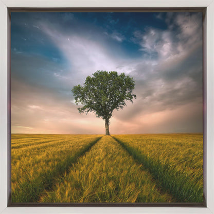 Artwork One24X24inches- Black Frame