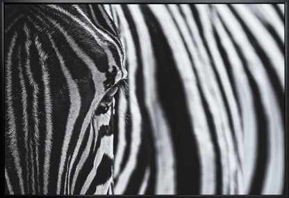 Artwork- The look of nature-20X16inches-In White Floating Frame