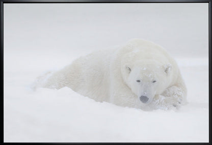 Wall art White-36X24inches-In White Floating Frame