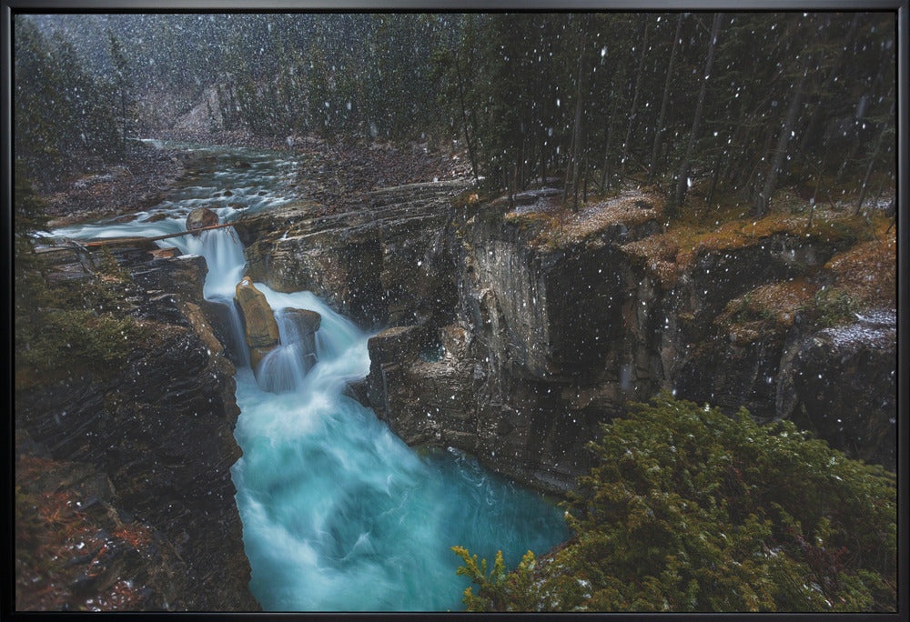 Wall art Surprise-36X24inches-In White Floating Frame