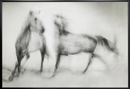Artwork- Shivers-48X36inches-In Black Floating Frame