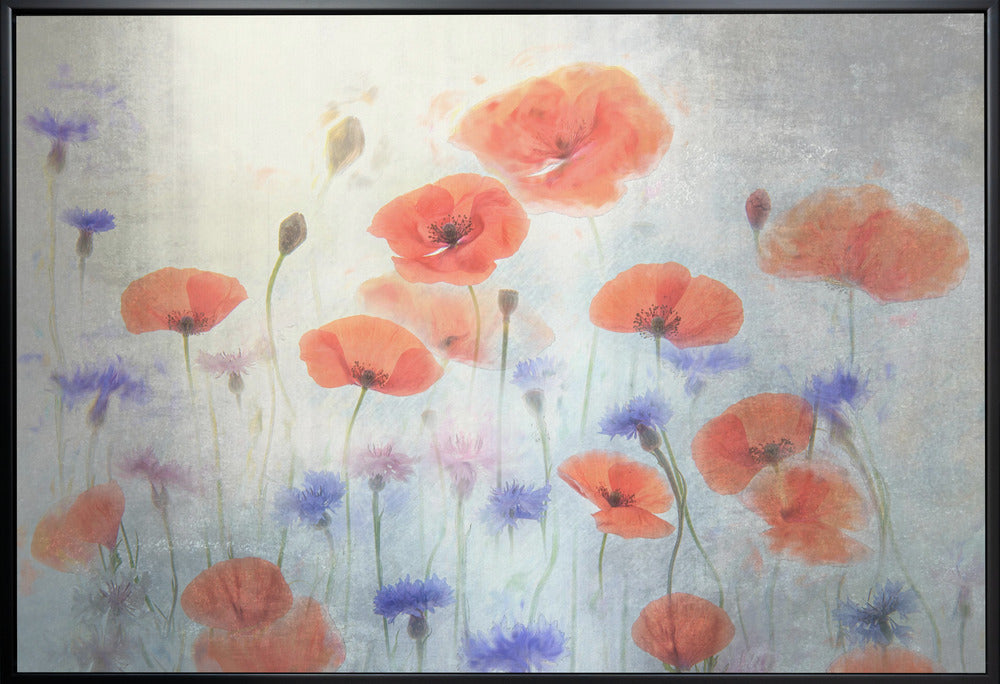 Poppy Wall Artwork Gallery Wrapped (Ready to Hang)