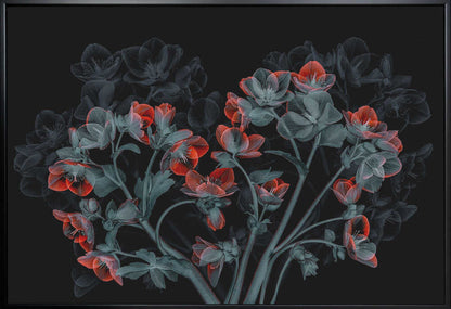 Wall art Beautiful Hellebores
