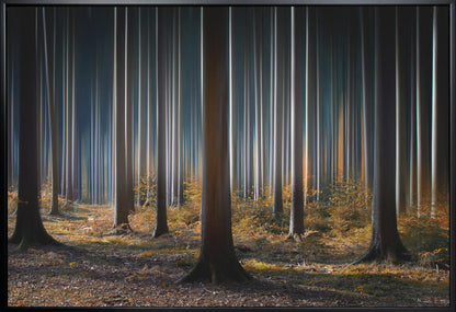 Artwork Mystic Wood36X24inches- White Frame