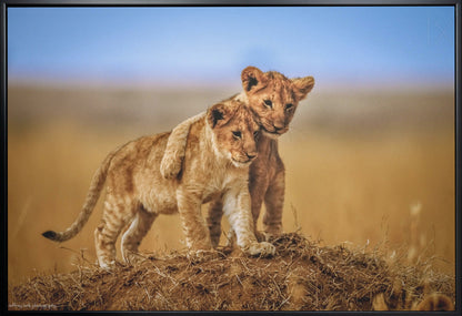  Brothers for Life Wall Artwork In White Floating Frame
