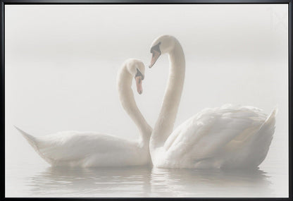 Artwork Forever. Swam36X24inches- White Frame