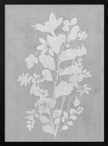 Artwork- Botanical Illustration 4-16X20inches-In White Floating Frame