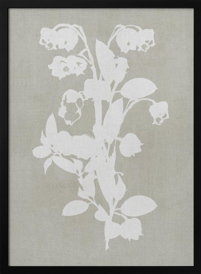 Artwork- Botanical Illustration 6-16X20inches-In White Floating Frame
