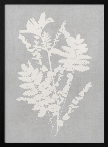 Artwork- Botanical Illustration 7-16X20inches-In White Floating Frame