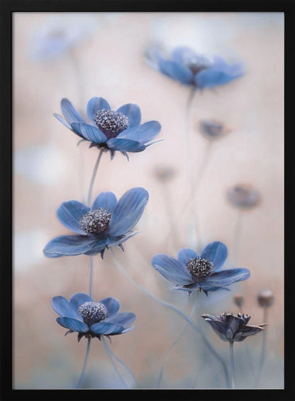  Cosmos blue Wall Artwork Gallery Wrapped (Ready to Hang)