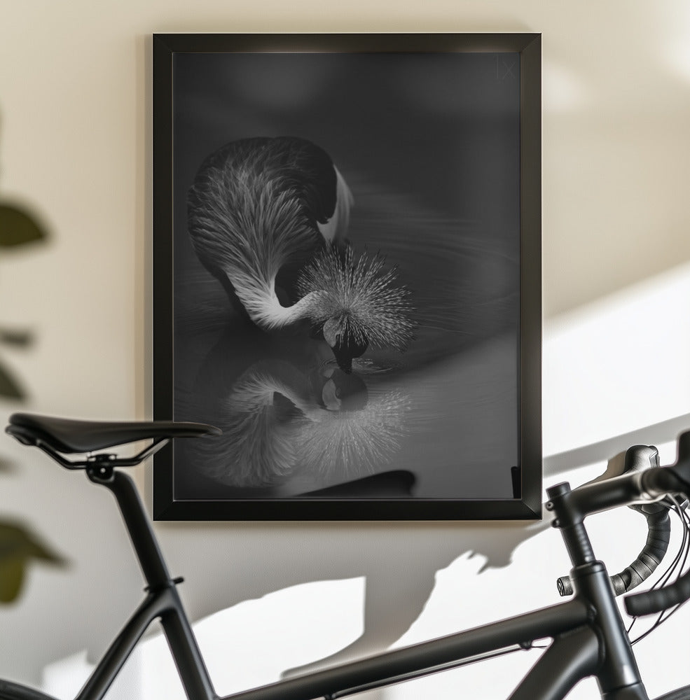Artwork- The reflection-16X20inches-In Black Floating Frame