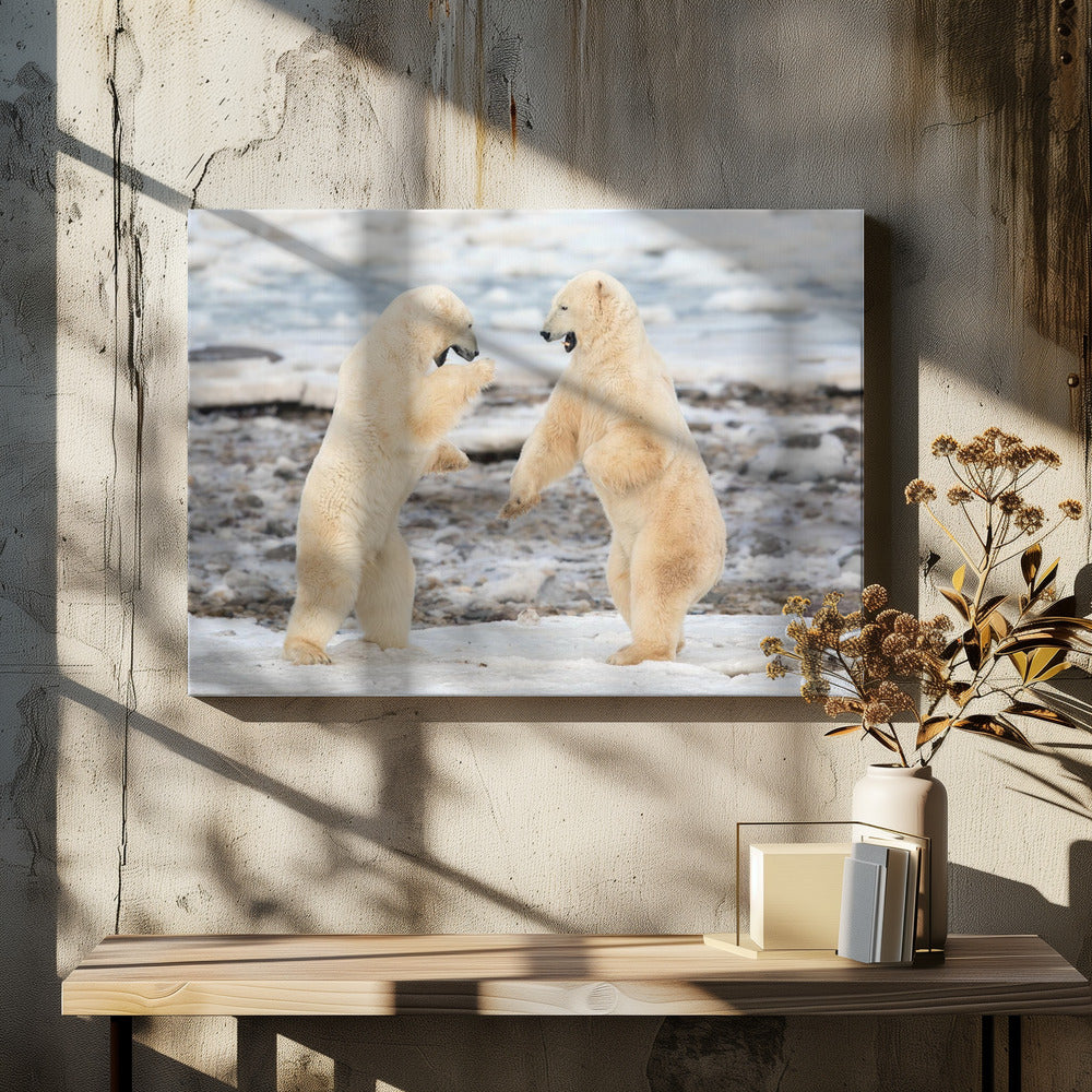 Wall art Fight !-48X36inches-In Black Floating Frame
